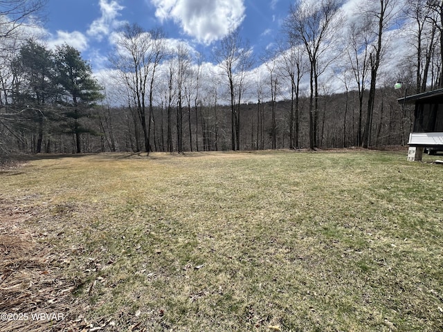 11645 Pleasant Stream Rd, Shunk, PA 17768 - photo 9