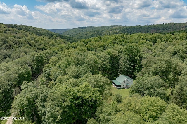11645 Pleasant Stream Rd, Shunk, PA 17768 - photo 4