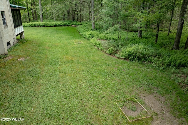 11645 Pleasant Stream Rd, Shunk, PA 17768 - photo 42