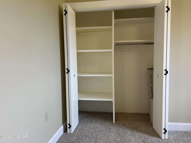 view of closet