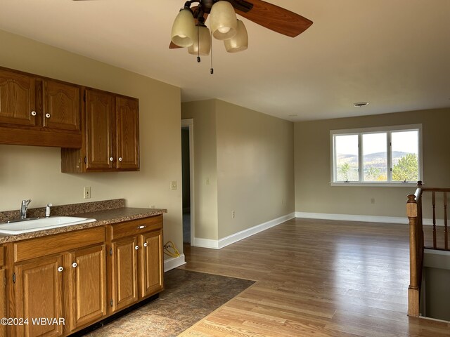 kitchen featuring hardwood / wood-style flooring, sink, and ceiling fan