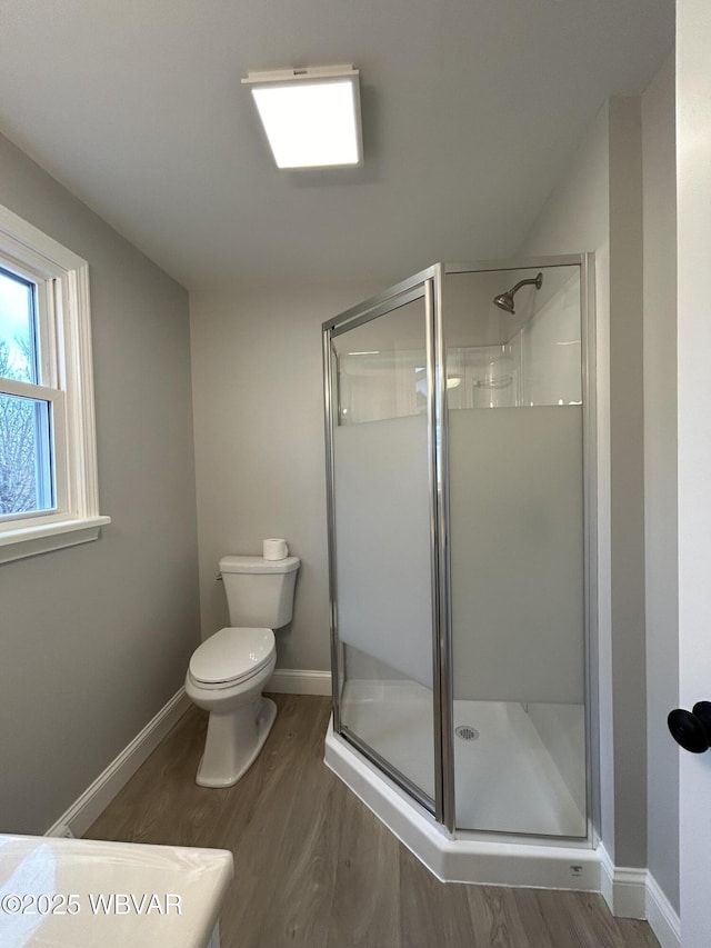 bathroom featuring wood-type flooring, toilet, and a shower with door