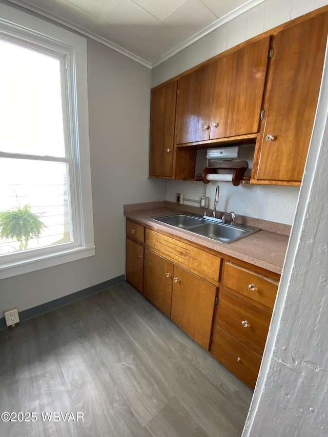 kitchen with crown molding, brown cabinets, a sink, light countertops, and light wood-style flooring
