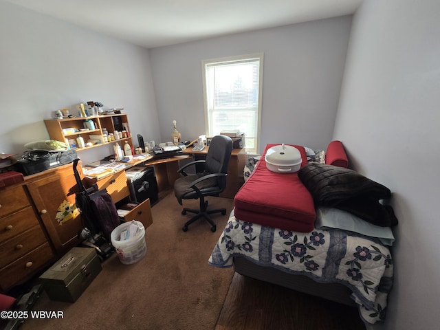 view of carpeted home office