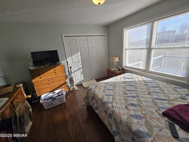 bedroom featuring a closet and dark hardwood / wood-style flooring