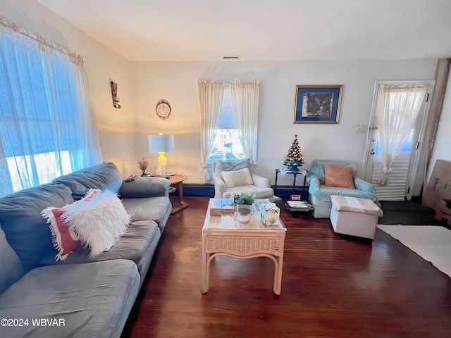 living room with dark hardwood / wood-style flooring