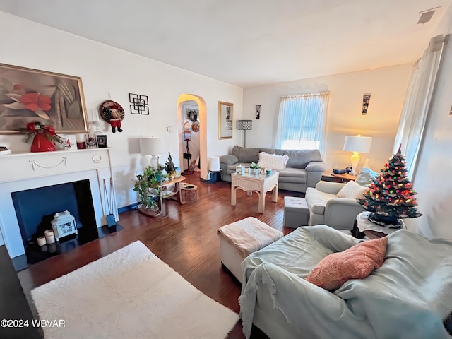 living room featuring dark hardwood / wood-style flooring