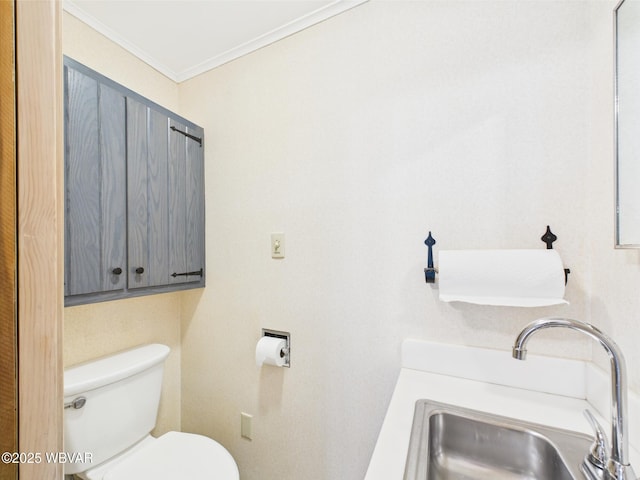 bathroom with a sink, crown molding, and toilet