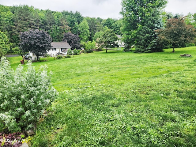 59 Keyser Cir, Williamsport, PA 17701 - view of green lawn