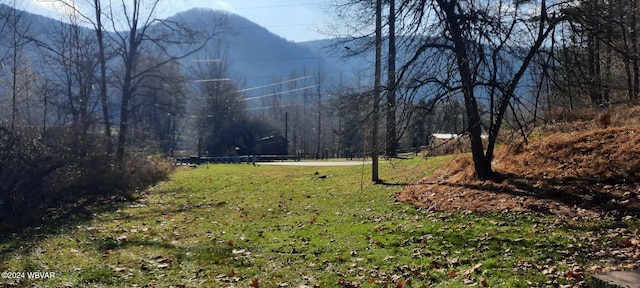 view of yard featuring a mountain view