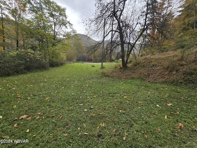 view of yard featuring a mountain view