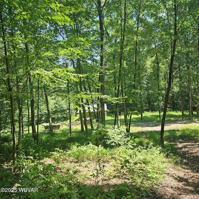 477 Bucky Rd, Renovo, PA 17764 - photo 5