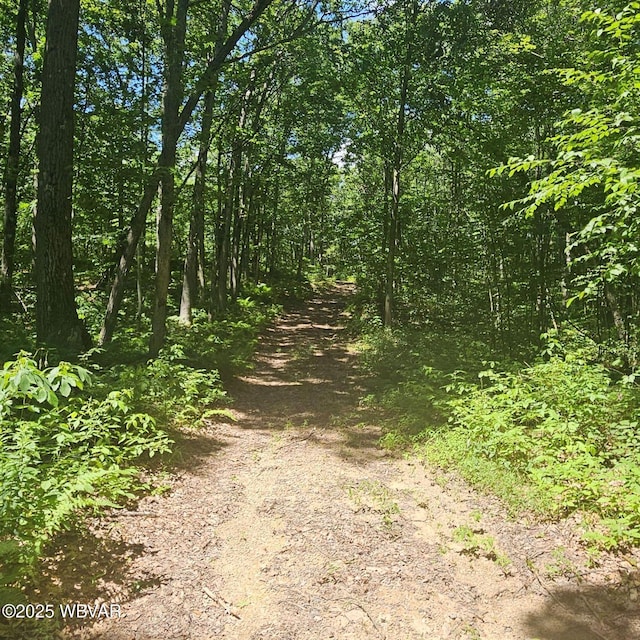 477 Bucky Rd, Renovo, PA 17764 - photo 3