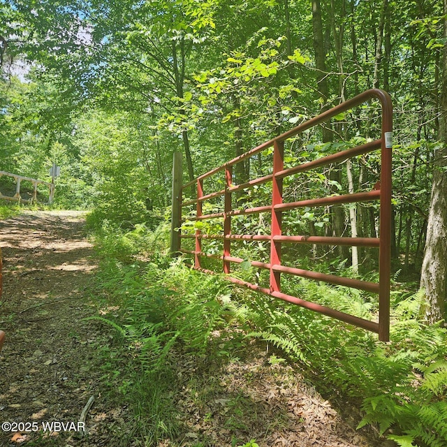 477 Bucky Rd, Renovo, PA 17764 - photo 2