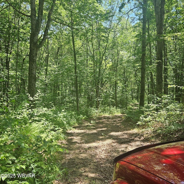 477 Bucky Rd, Renovo, PA 17764 - photo 4