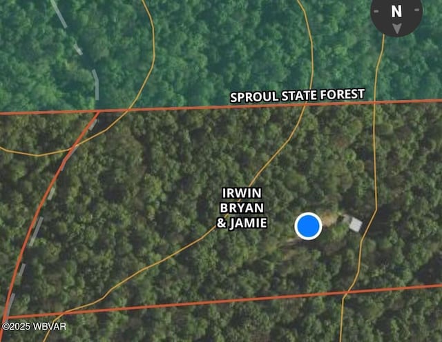 477 Bucky Rd, Renovo, PA 17764 - photo 22