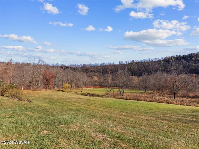 view of yard with a rural view