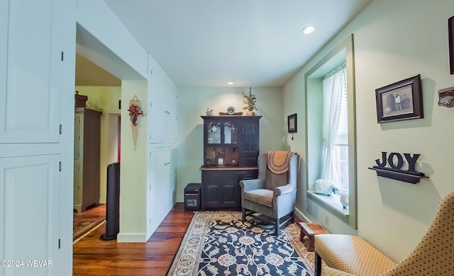 living area with dark wood-type flooring