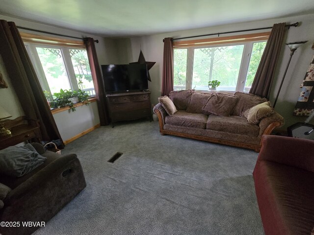 300 Bruce Rd, Cogan Station, PA 17728 - photo 78