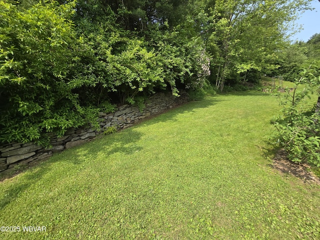 300 Bruce Rd, Cogan Station, PA 17728 - photo 7