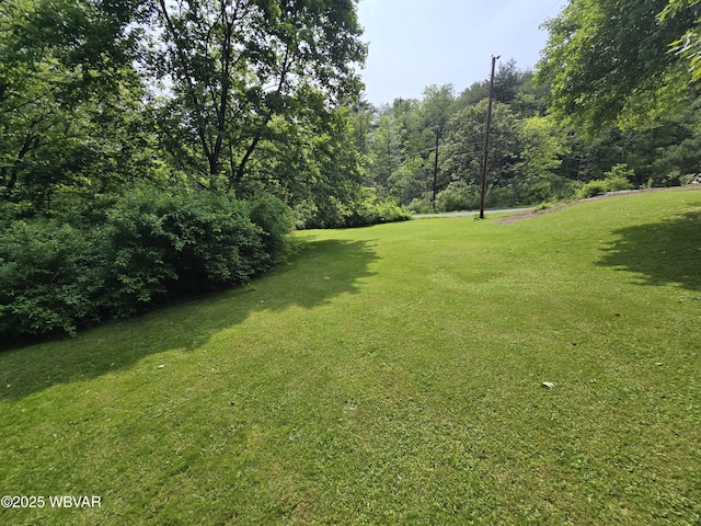300 Bruce Rd, Cogan Station, PA 17728 - photo 56