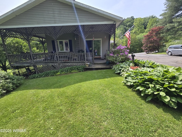 300 Bruce Rd, Cogan Station, PA 17728 - photo 45