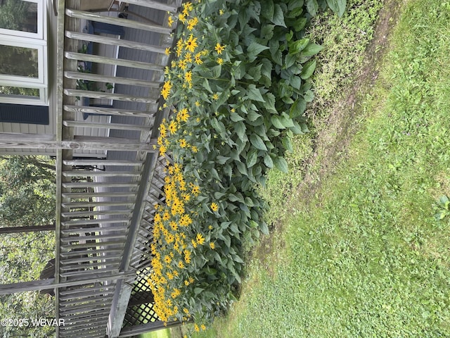 300 Bruce Rd, Cogan Station, PA 17728 - photo 98