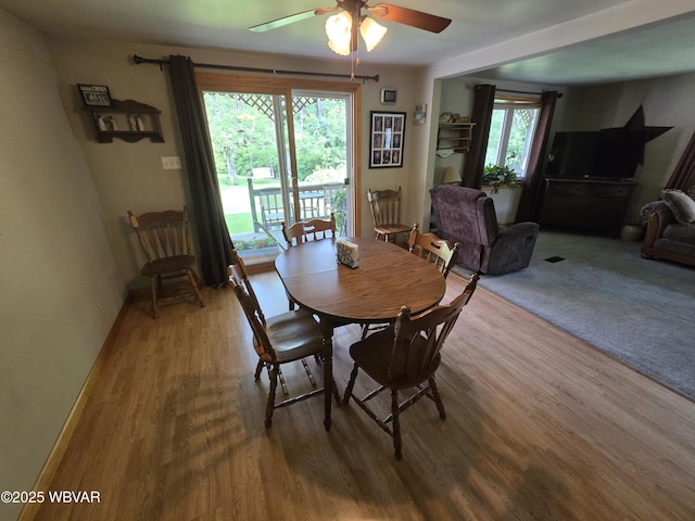 300 Bruce Rd, Cogan Station, PA 17728 - photo 80