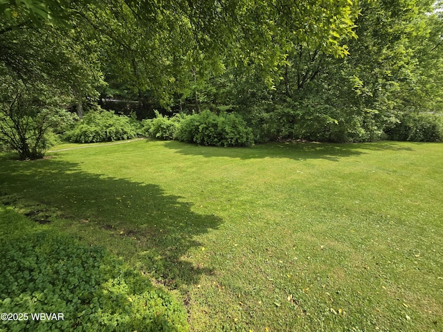 300 Bruce Rd, Cogan Station, PA 17728 - photo 5