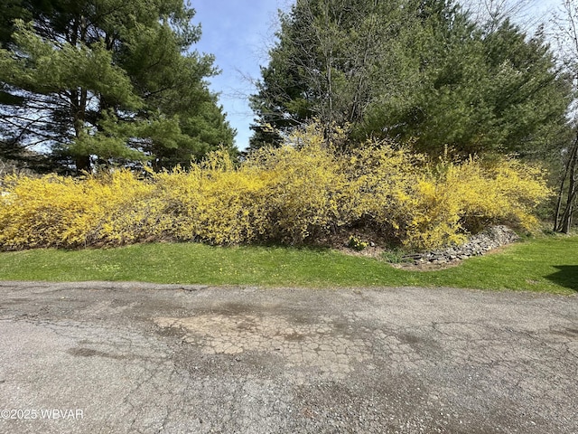 300 Bruce Rd, Cogan Station, PA 17728 - photo 86