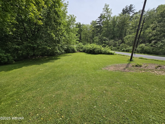 300 Bruce Rd, Cogan Station, PA 17728 - photo 53