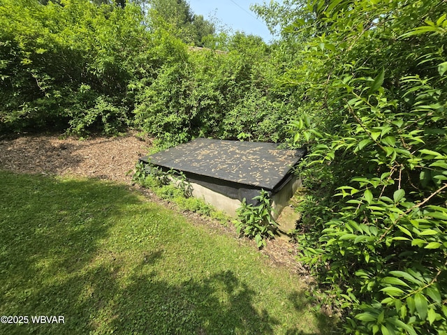 300 Bruce Rd, Cogan Station, PA 17728 - photo 60