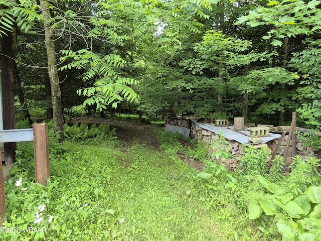3510 Rt 184, Trout Run, PA 17771 - view of yard