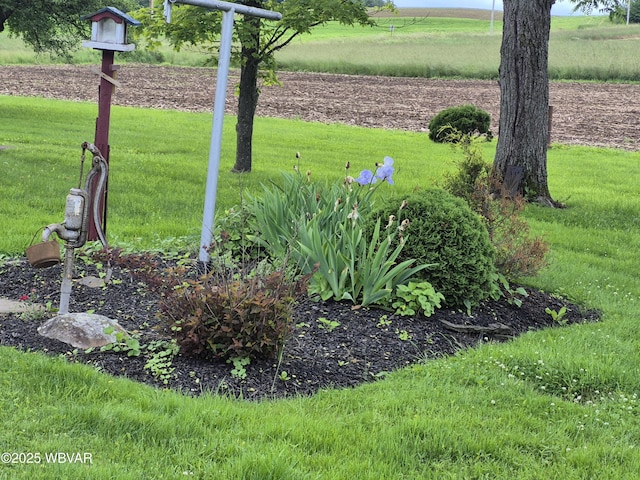 3510 Rt 184, Trout Run, PA 17771 - view of grassy yard