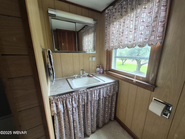 3510 Rt 184, Trout Run, PA 17771 - bathroom featuring wood walls and vanity