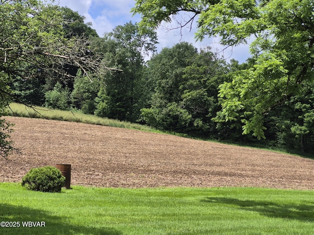 3510 Rt 184, Trout Run, PA 17771 - view of yard