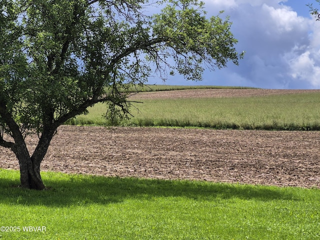 3510 Rt 184, Trout Run, PA 17771 - view of yard featuring a rural view