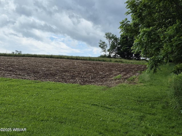 3510 Rt 184, Trout Run, PA 17771 - view of yard with a view of rural / pastoral area