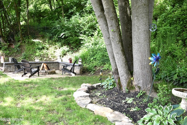 201 Richey St, Lock Haven, PA 17745 - view of yard with a fire pit