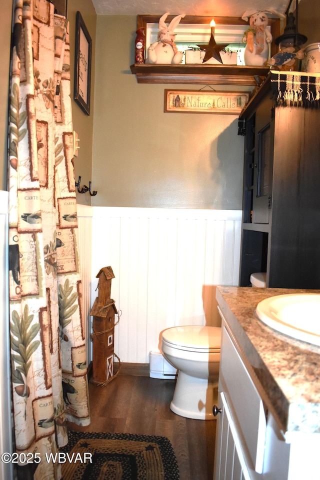 201 Richey St, Lock Haven, PA 17745 - bathroom featuring toilet, vanity, a wainscoted wall, wood finished floors, and a decorative wall