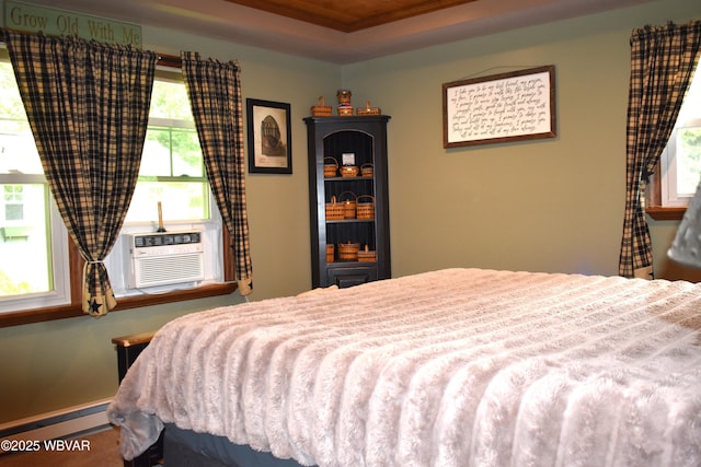 201 Richey St, Lock Haven, PA 17745 - bedroom with a tray ceiling, a baseboard heating unit, and cooling unit