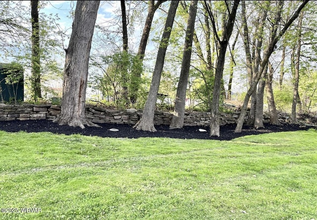 150 Pine Creek Ave, Jersey Shore, PA 17740 - view of green lawn