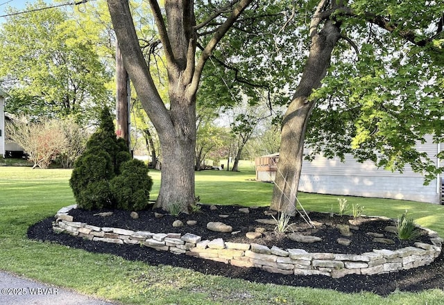 150 Pine Creek Ave, Jersey Shore, PA 17740 - view of green lawn