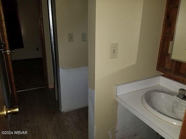 bathroom featuring hardwood / wood-style floors and vanity