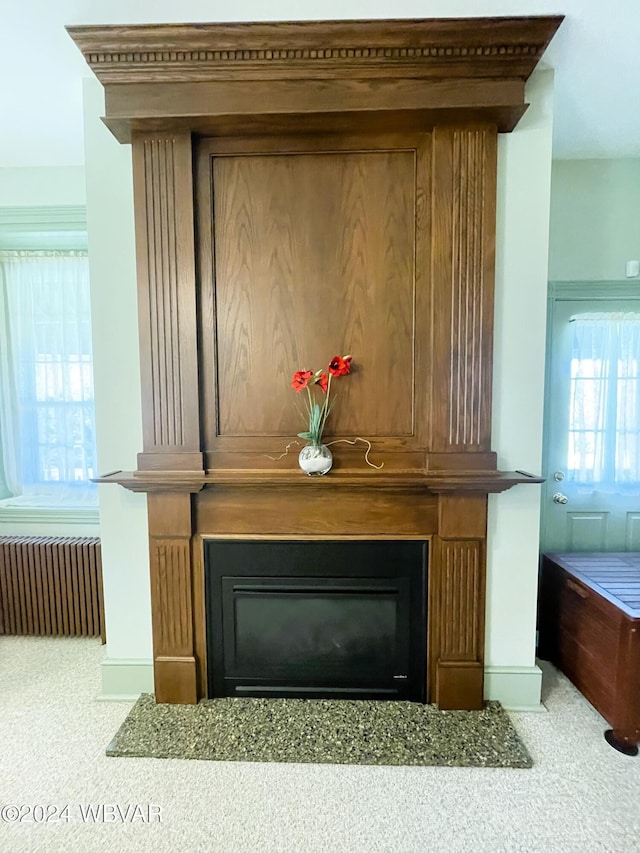159 Harveys Ln, Milton, PA 17847 - detailed view of a fireplace, radiator, and carpet flooring