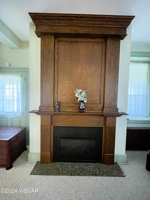 159 Harveys Ln, Milton, PA 17847 - detailed view of radiator heating unit, a large fireplace, and carpet floors
