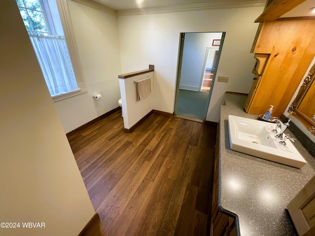 laundry room with sink, crown molding, and dark wood-type flooring