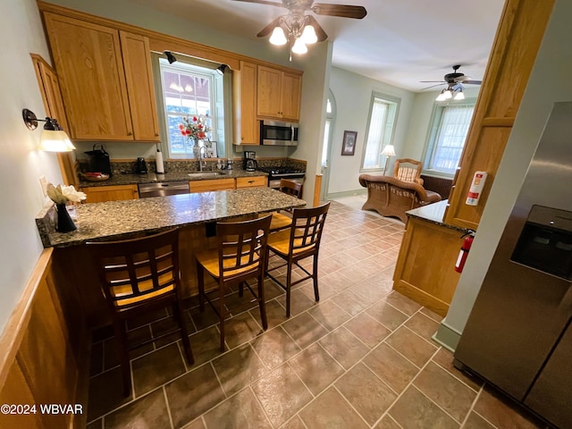 159 Harveys Ln, Milton, PA 17847 - kitchen featuring stainless steel appliances, a ceiling fan, a kitchen bar, and plenty of natural light
