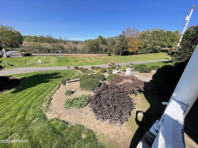 159 Harveys Ln, Milton, PA 17847 - view of green lawn
