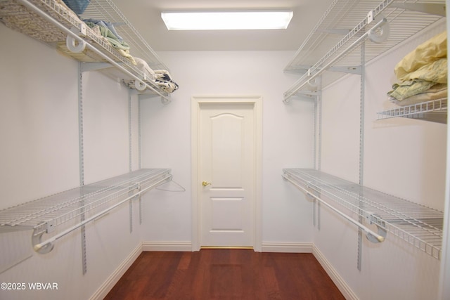 spacious closet featuring dark wood-type flooring